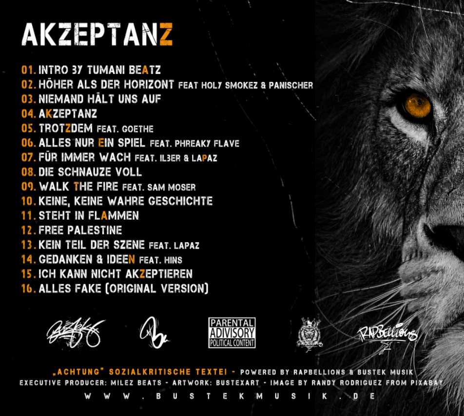 01. MP3 Download - Akzeptanz
